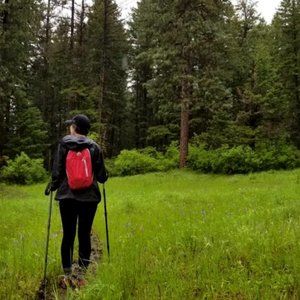 Meet your Posher, Abby